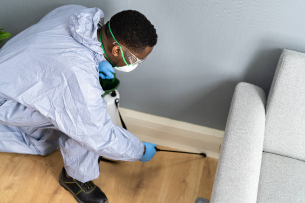 Best Pest Prevention Services  in Platte, SD